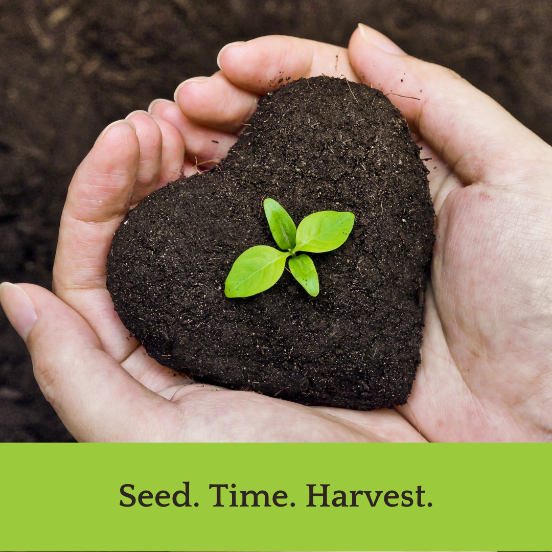 Seed time harvest